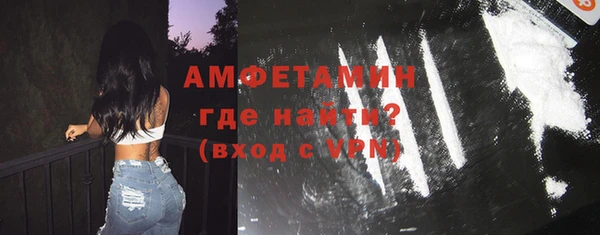 шишки Ельня