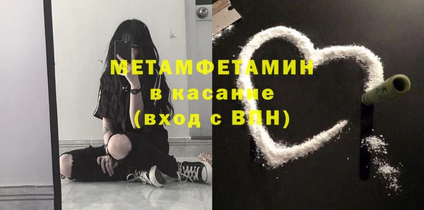 шишки Ельня