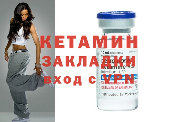 шишки Ельня