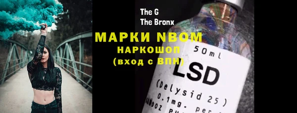 шишки Ельня
