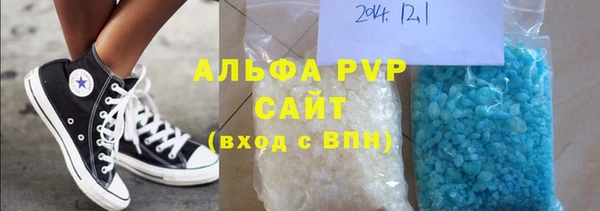 шишки Ельня