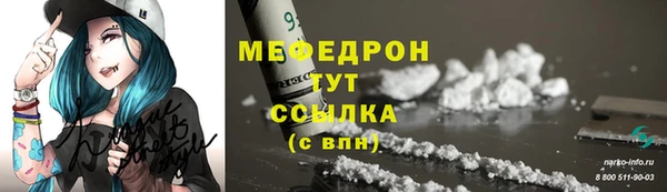 шишки Ельня