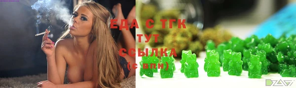 шишки Ельня