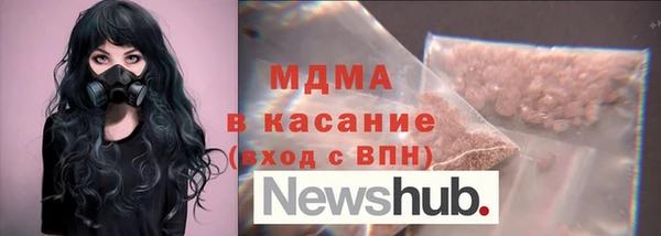 шишки Ельня
