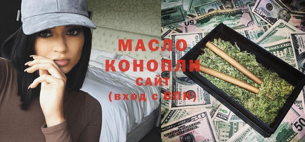 шишки Ельня