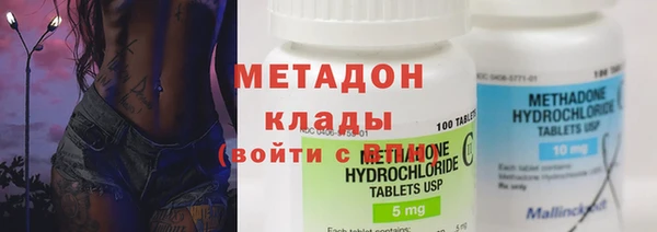 шишки Ельня