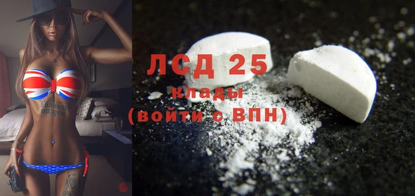 шишки Ельня