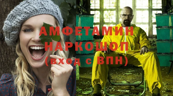 шишки Ельня