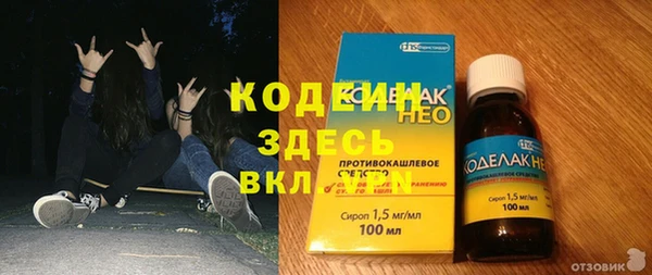 шишки Ельня