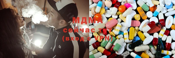 шишки Ельня